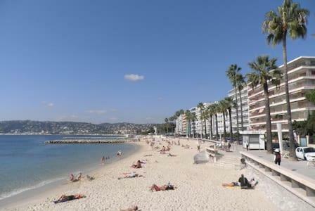301-Studio Au Calme Entierement Renove 昂蒂布 外观 照片